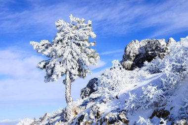 Granada 'nın iç kısımlarından karlı manzaralar - İspanya