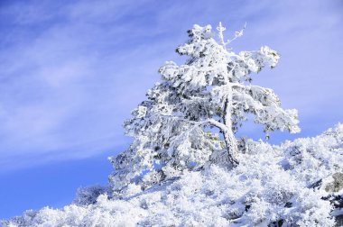 Granada 'nın iç kısımlarından karlı manzaralar - İspanya