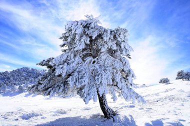 Granada 'nın iç kısımlarından karlı manzaralar - İspanya