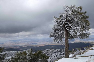 Granada 'nın iç kısımlarından karlı manzaralar - İspanya