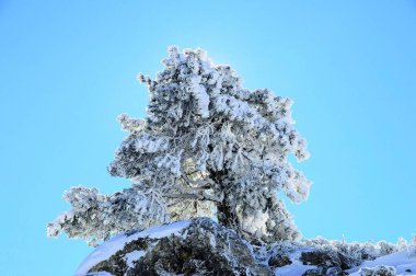 Granada 'nın iç kısımlarından karlı manzaralar - İspanya