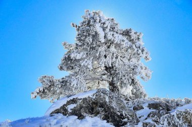 Granada 'nın iç kısımlarından karlı manzaralar - İspanya