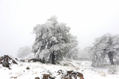 Granada 'nın iç kısımlarından karlı manzaralar - İspanya