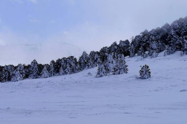 Granada 'nın iç kısımlarından karlı manzaralar - İspanya