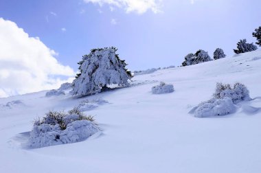 Granada 'nın iç kısımlarından karlı manzaralar - İspanya