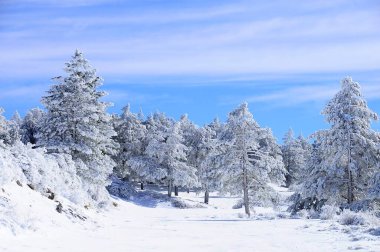 Granada 'nın iç kısımlarından karlı manzaralar - İspanya