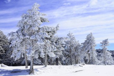 Granada 'nın iç kısımlarından karlı manzaralar - İspanya