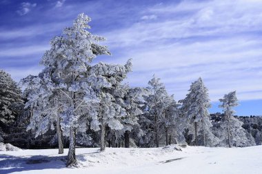 Granada 'nın iç kısımlarından karlı manzaralar - İspanya