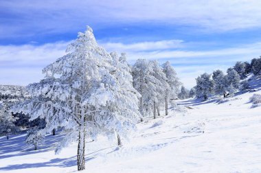 Granada 'nın iç kısımlarından karlı manzaralar - İspanya