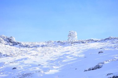 Granada 'nın iç kısımlarından karlı manzaralar - İspanya
