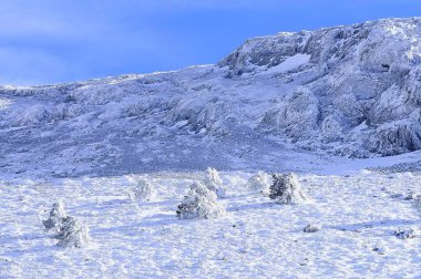 Granada 'nın iç kısımlarından karlı manzaralar - İspanya