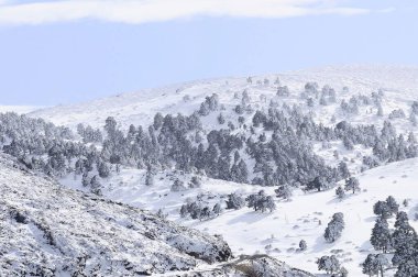 Granada 'nın iç kısımlarından karlı manzaralar - İspanya