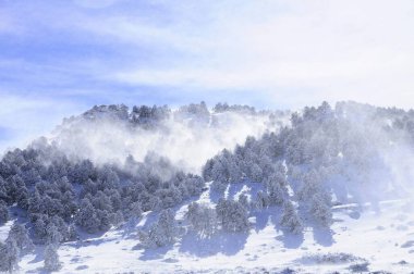 Granada 'nın iç kısımlarından karlı manzaralar - İspanya