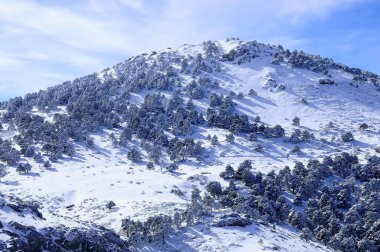 Granada 'nın iç kısımlarından karlı manzaralar - İspanya