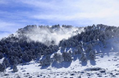 Granada 'nın iç kısımlarından karlı manzaralar - İspanya