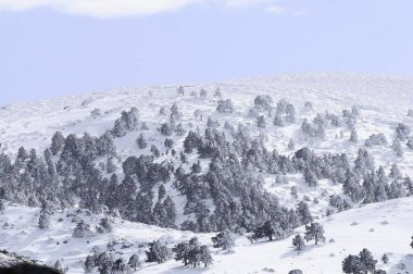 Granada 'nın iç kısımlarından karlı manzaralar - İspanya