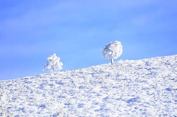 来自西班牙格拉纳达内陆的雪地景观 — 图库照片