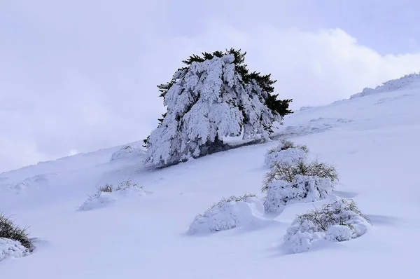 Sněžná krajina z interiéru Granady - Španělsko — Stock fotografie