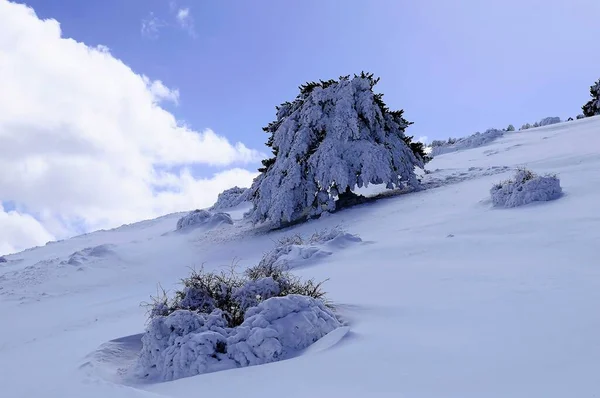 来自西班牙格拉纳达内陆的雪地景观 — 图库照片