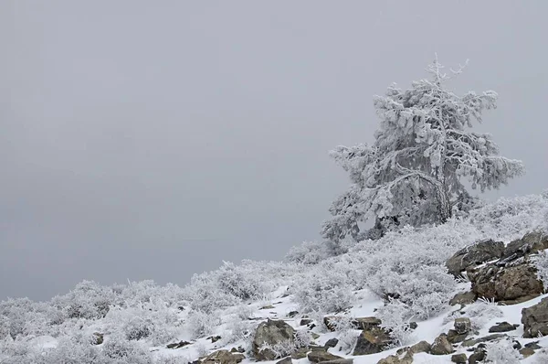 Paisajes nevados del interior de Granada - España — Foto de Stock