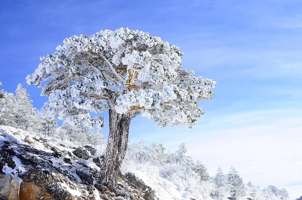 Paesaggi innevati dall'interno di Granada - Spagna — Foto Stock