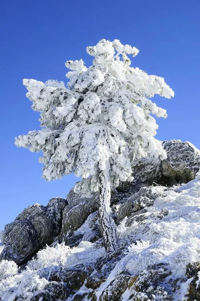 Χιονισμένα τοπία από το εσωτερικό της Γρανάδας - Ισπανία — Φωτογραφία Αρχείου