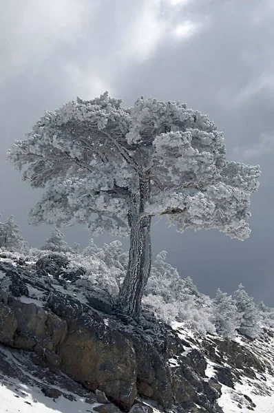 그라나다 - 스페인 내륙에서 바라본 눈덮인 풍경 — 스톡 사진