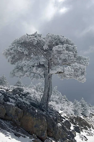 Sneeuwlandschappen vanuit het binnenland van Granada - Spanje — Stockfoto