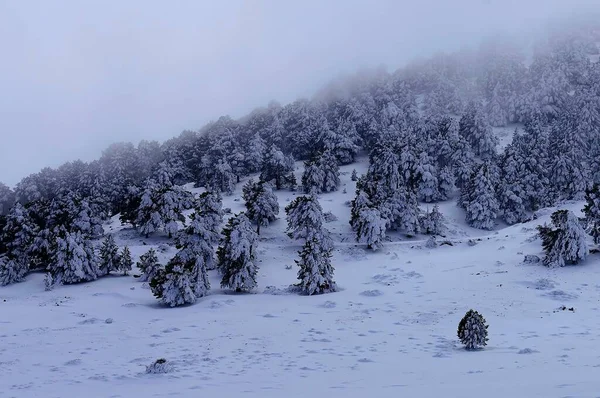 Paisajes nevados del interior de Granada - España — Foto de Stock