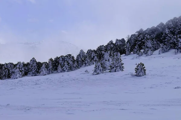 Granada 'nın iç kısımlarından karlı manzaralar - İspanya