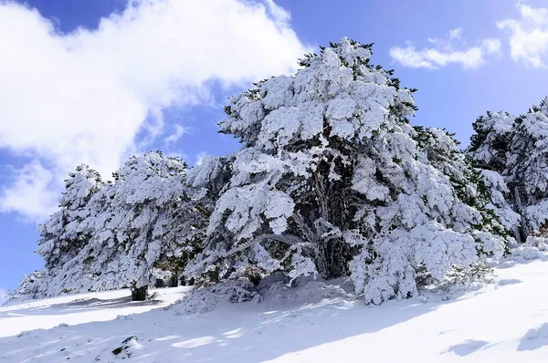 Χιονισμένα τοπία από το εσωτερικό της Γρανάδας - Ισπανία — Φωτογραφία Αρχείου