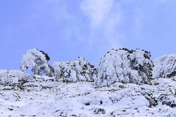 Granada 'nın iç kısımlarından karlı manzaralar - İspanya