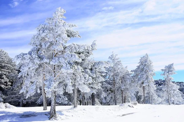 Paisagens nevadas do interior de Granada - Espanha — Fotografia de Stock