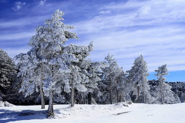 Granada 'nın iç kısımlarından karlı manzaralar - İspanya