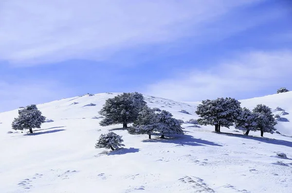 Snowy landscapes from the interior of Granada - Spain — Fotografia de Stock