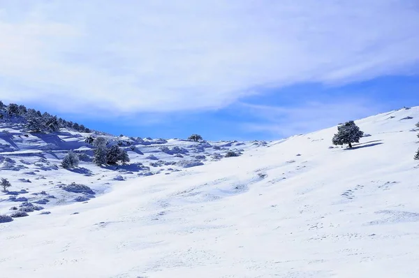 Granada 'nın iç kısımlarından karlı manzaralar - İspanya