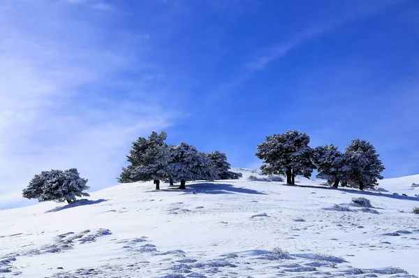 Snowy landscapes from the interior of Granada - Spain — Foto Stock