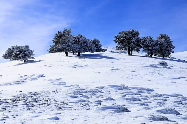 Paisagens nevadas do interior de Granada - Espanha — Fotografia de Stock