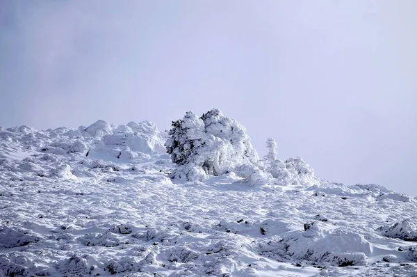 Sněžná krajina z interiéru Granady - Španělsko — Stock fotografie