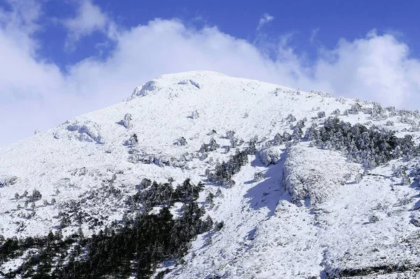 Snowy krajobrazy z wnętrza Granady - Hiszpania — Zdjęcie stockowe