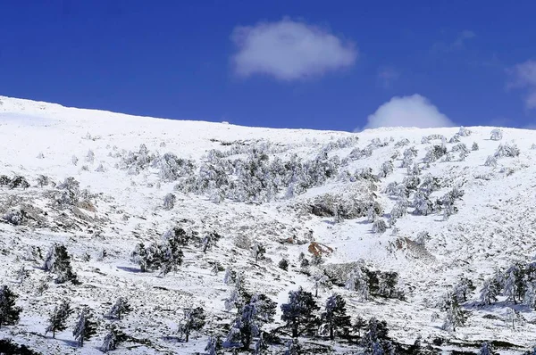 Сніжні краєвиди з глибини Гранади (Іспанія). — стокове фото
