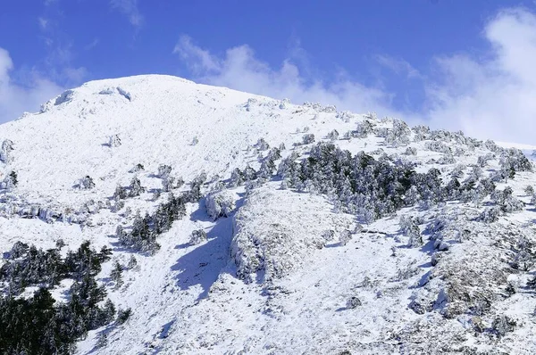 Granada 'nın iç kısımlarından karlı manzaralar - İspanya