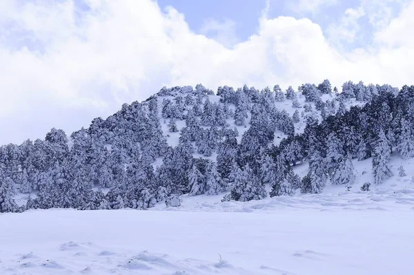 Granada 'nın iç kısımlarından karlı manzaralar - İspanya