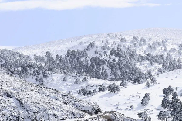 Granada 'nın iç kısımlarından karlı manzaralar - İspanya
