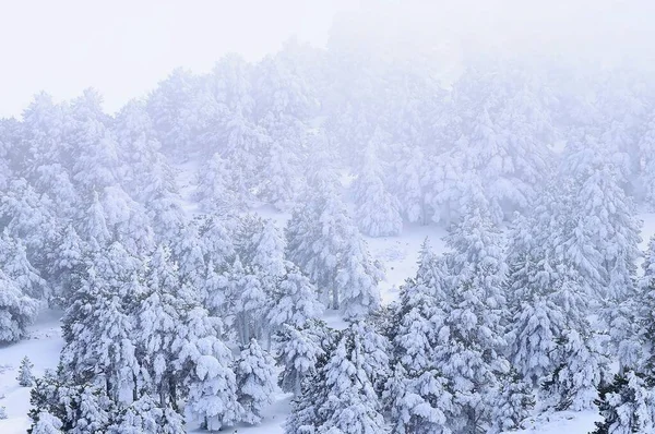 Snowy landscapes from the interior of Granada - Spain — Foto Stock