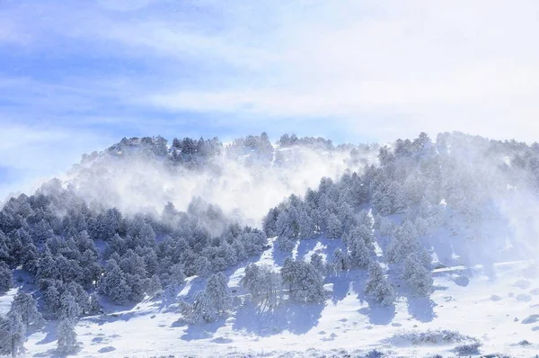Granada 'nın iç kısımlarından karlı manzaralar - İspanya