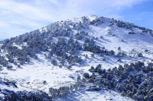 Granada 'nın iç kısımlarından karlı manzaralar - İspanya
