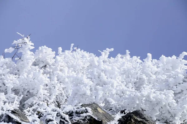 グラナダのインテリアから雪景色-スペイン — ストック写真