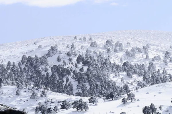 Granada 'nın iç kısımlarından karlı manzaralar - İspanya