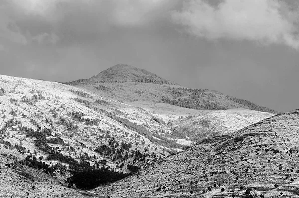 Paisajes nevados del interior de Granada - España — Foto de Stock